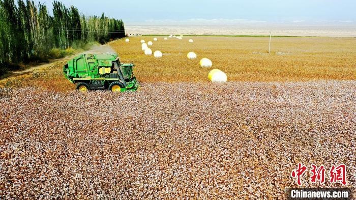 近年來，當(dāng)?shù)孛藁ǚN植戶的生產(chǎn)生活發(fā)生了翻天覆地的變化?！《?攝