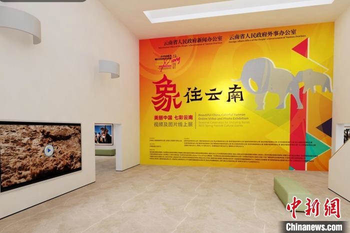 圖為“象”往云南——美麗中國 七彩云南視頻及圖片線上展截圖?！『h(yuǎn)航 攝