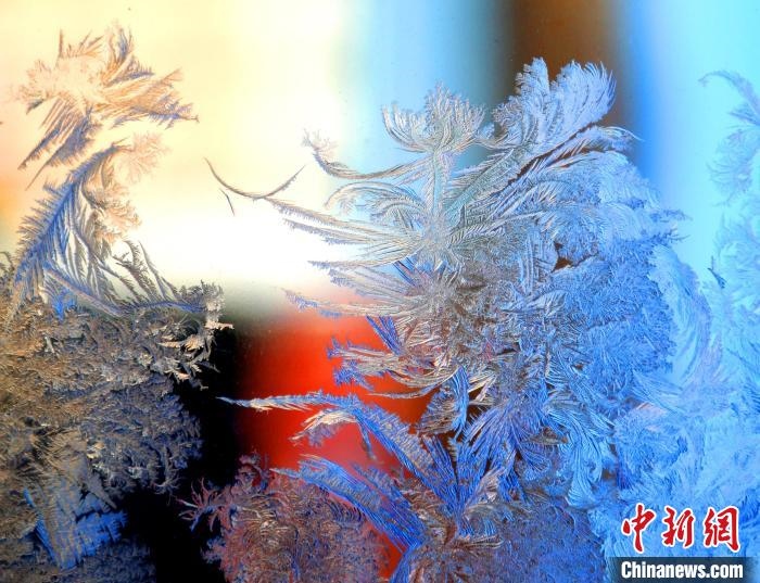 冰窗花千姿百態(tài)。　孫書程 攝