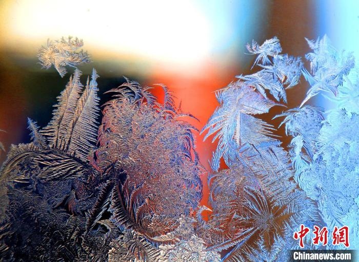 惟妙惟肖的冰窗花，似一幅風(fēng)景畫?！O書程 攝