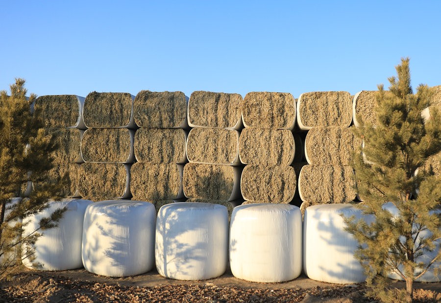 1609166236890336.jpg 7O5A2123.JPG