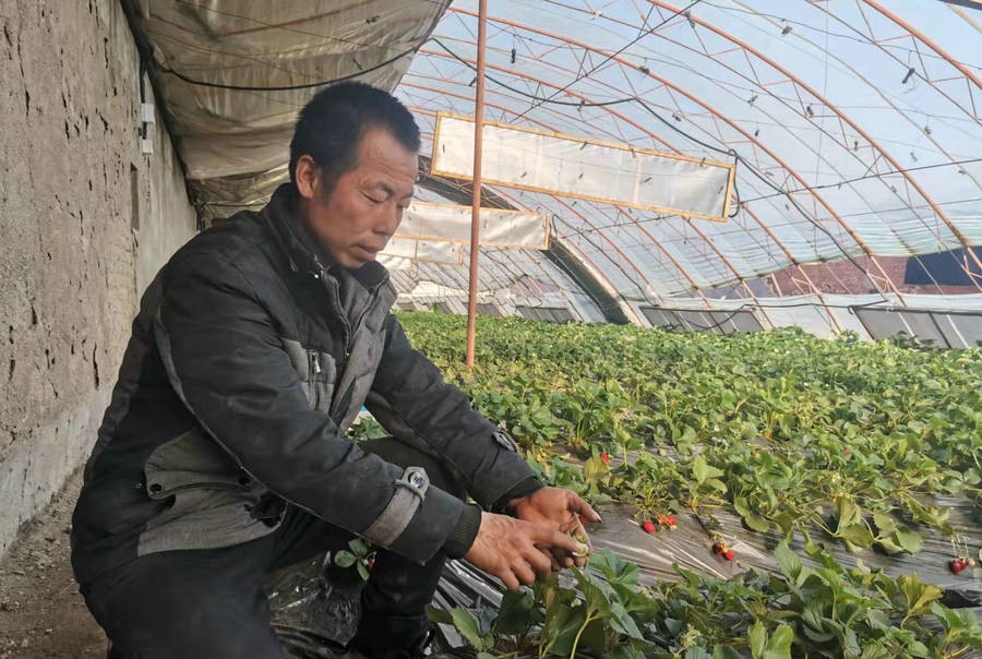 1648810348127085.jpg 微信圖片_20220401184359.jpg