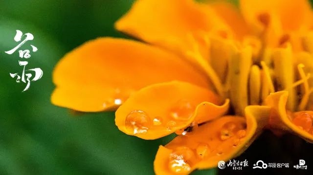 1650444657337067.jpg 微信圖片_20220420164030.jpg