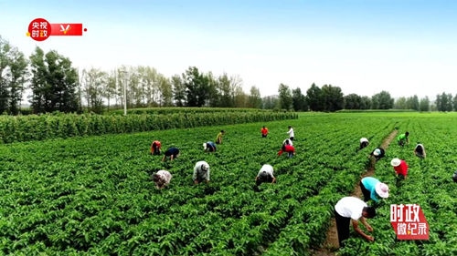 1651371417131014.jpg 20220430230151816_副本.jpg