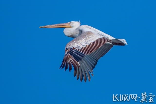 1662606852688551.jpg W020220907399621160447.jpg