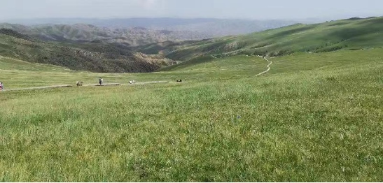 1676277125111052.png image.png