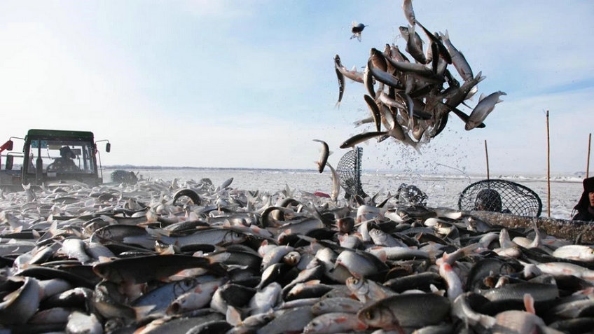 1701329162100393.jpg _K4I9674.JPG