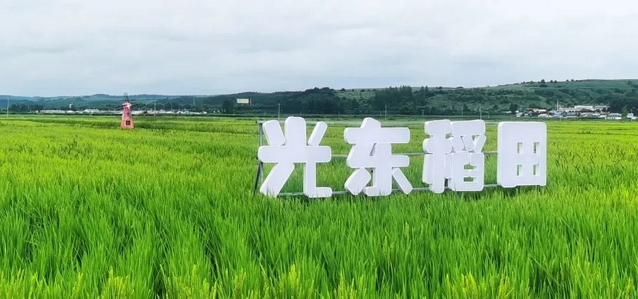 1714023000116357.png 642.png