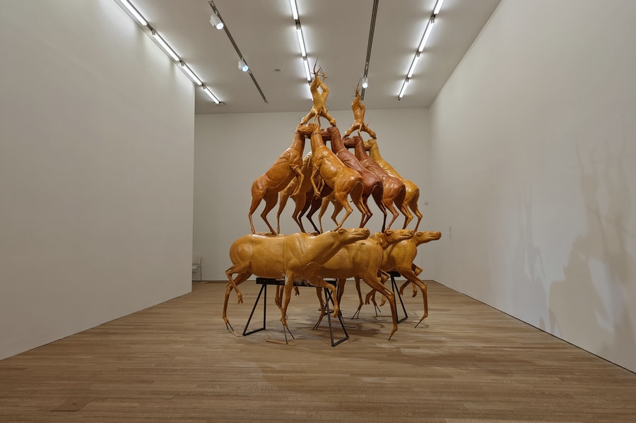 1717697772339090.jpg 微信圖片_20240607015226.jpg