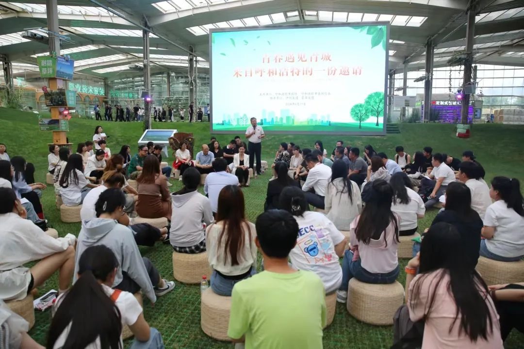 1718946840104347.jpg 001.jpg