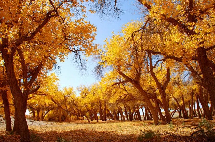 1724663028682354.jpg 640 (19).jpg