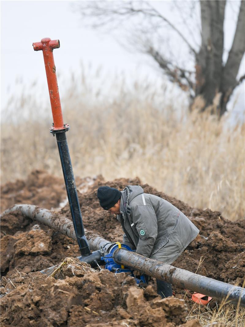 1734071232531055.jpg _K4I9674(1).JPG