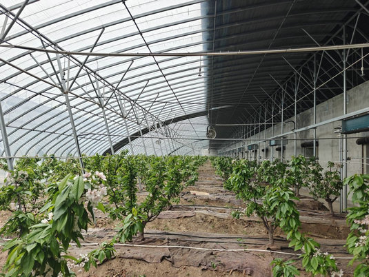 1744421040697975.jpg 農(nóng)業(yè)2.jpg