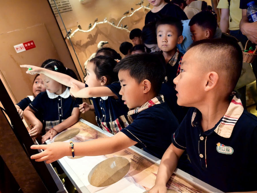 1750142927298167.jpeg WechatIMG11356.jpeg