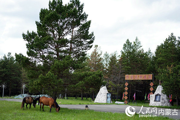 1752800008138799.jpg 松子5.jpg