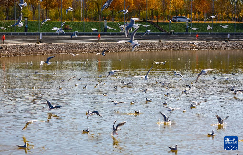 1762136700120166.jpg _K4I9674(1).JPG