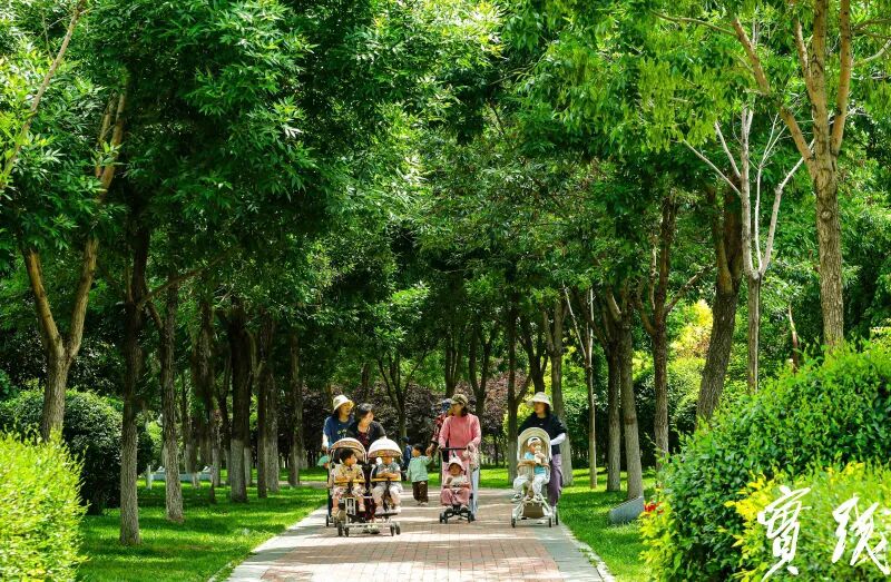 1774955908115019.jpg 640 (9).jpg