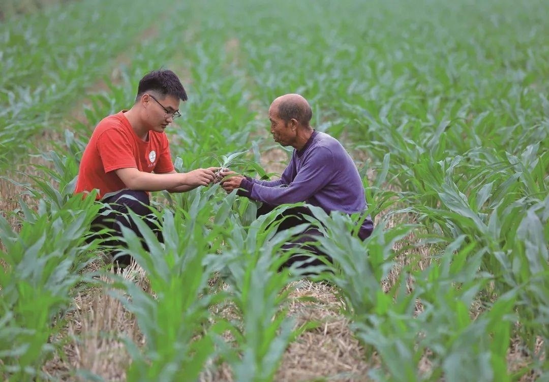 △科技小院的學(xué)生在給村民講解玉米種植知識。