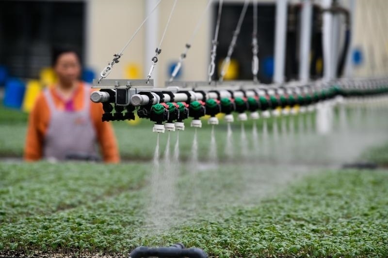 工人在貴陽市開陽縣楠木渡蔬菜良種繁育中心查看自動噴灌系統(tǒng)給辣椒苗澆水情況（2023年5月24日攝）。新華社記者 楊文斌 攝