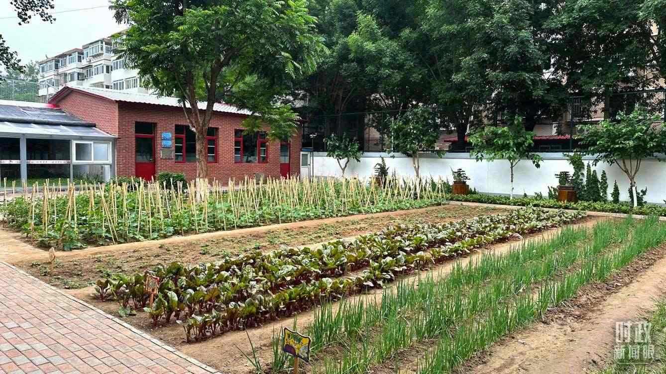 △學(xué)生農(nóng)場(chǎng)。（總臺(tái)央視記者趙化拍攝）