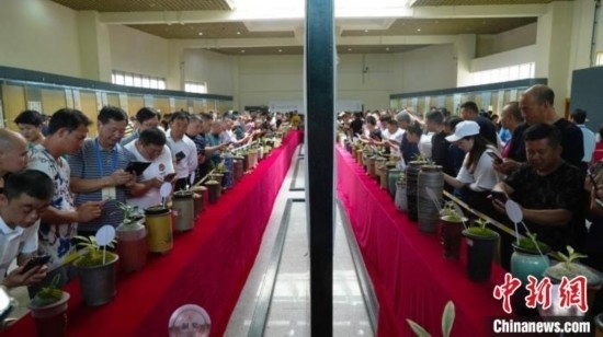 圖為活動現(xiàn)場。 云南省委臺辦供圖