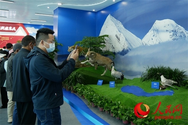 6月17日，觀眾正在觀展。人民網(wǎng) 韋衍行攝