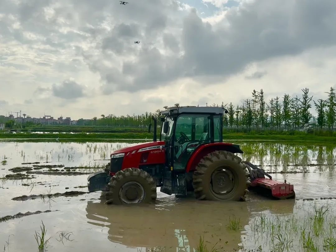 浙江省金華市東陽(yáng)市城東街道寀盧村的一臺(tái)無(wú)人駕駛耕地機(jī)。靜玄 攝