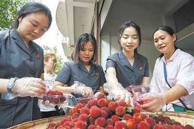 志愿者和村民一起將摘下的楊梅裝進(jìn)食品盒里。