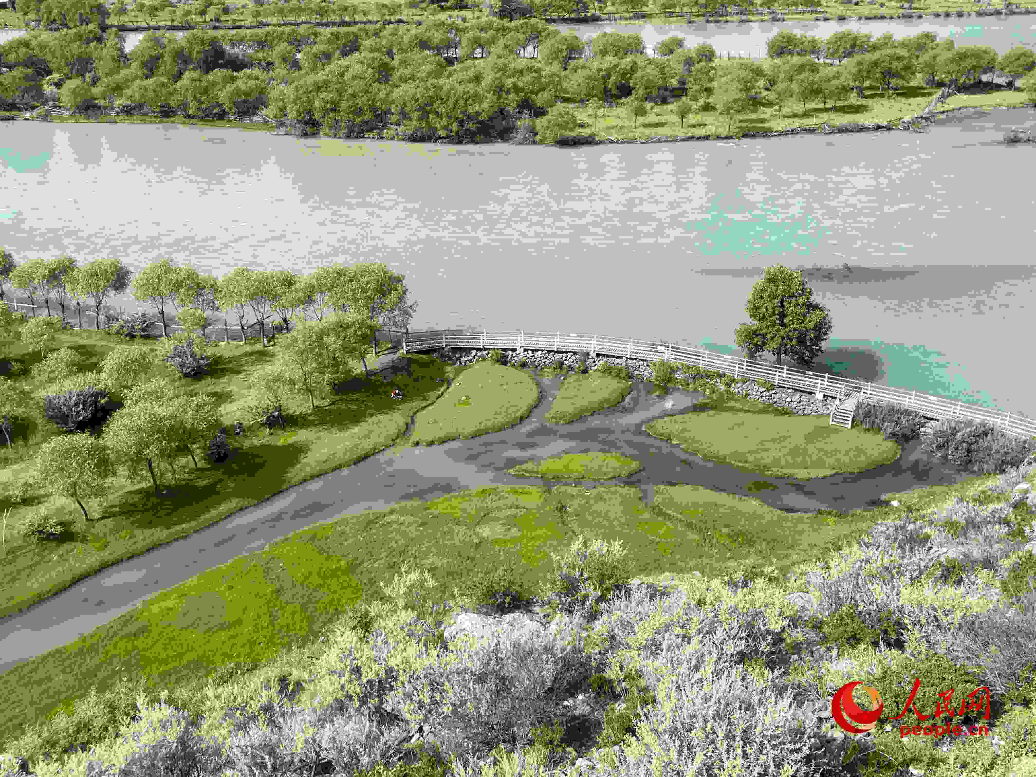 夏日的雅尼國家濕地公園生機盎然，如詩如畫。人民網(wǎng) 周靜圓攝