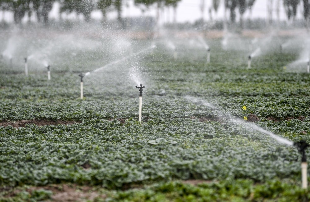 2023年5月25日，在寧夏銀川市永寧縣望洪鎮(zhèn)宋澄村冷涼蔬菜種植基地，小型噴灌節(jié)水設(shè)備在進(jìn)行噴灌作業(yè)。新華社記者 馮開華 攝