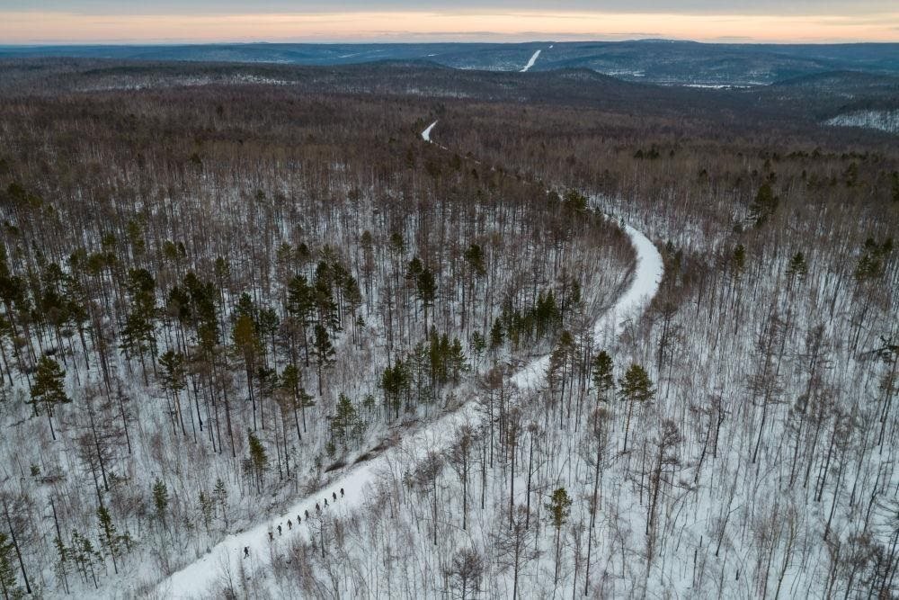 △2023年1月，漠河林場數(shù)十名職工自發(fā)組成的森林撫育隊伍，在人跡罕至的山林中作業(yè)。