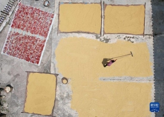 9月16日，村民在貴州省黔東南苗族侗族自治州施秉縣馬溪鄉(xiāng)王家坪村晾曬稻谷（無人機(jī)照片）。