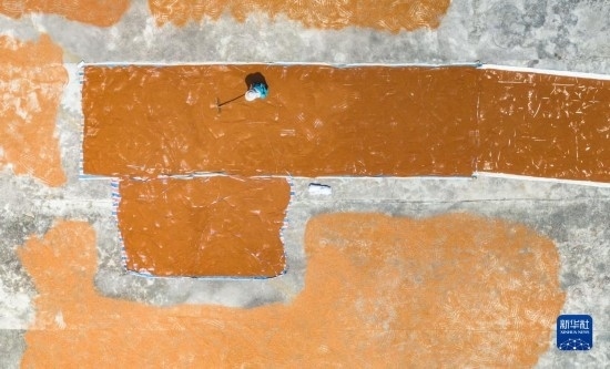 9月16日，農(nóng)民在貴州省安順市西秀區(qū)大西橋鎮(zhèn)吉昌村晾曬高粱（無人機(jī)照片）。