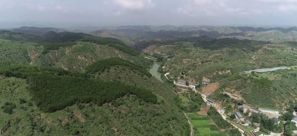 黃土溝壑中的高西溝村滿(mǎn)眼綠色（無(wú)人機(jī)照片，2023年7月26日）。新華社記者陳昌奇 攝