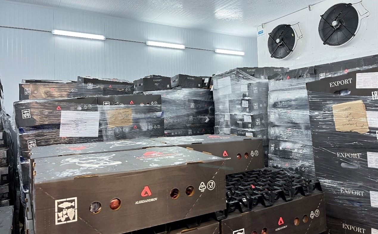 恒溫冷庫(kù)中，包裝好的牛肉等待發(fā)往中國(guó)。人民網(wǎng)記者 朱虹攝