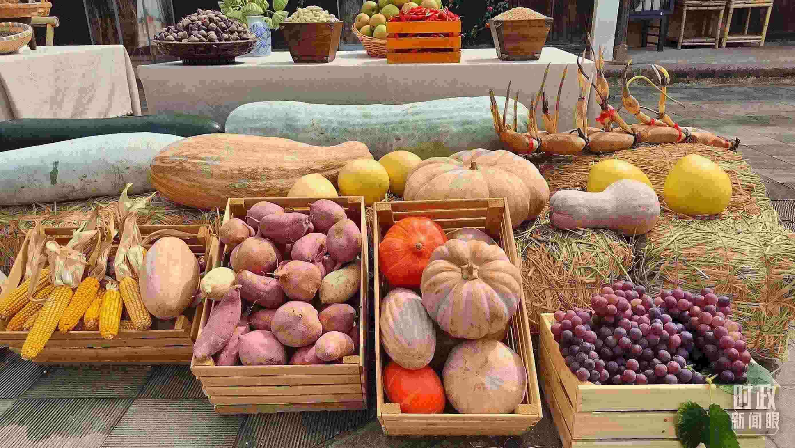 △村廣場(chǎng)“共富市集”，擺放著種類豐富的特色農(nóng)產(chǎn)品。（總臺(tái)央視記者楊立峰拍攝）