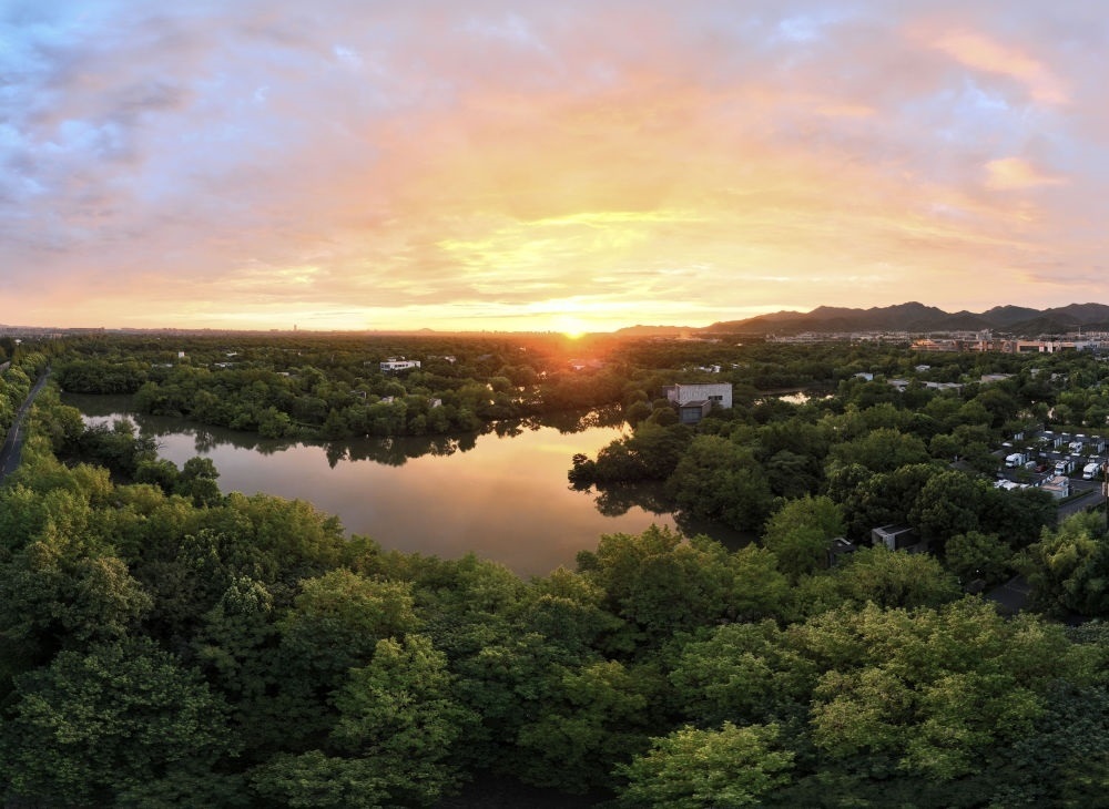 杭州西溪濕地日出景觀。