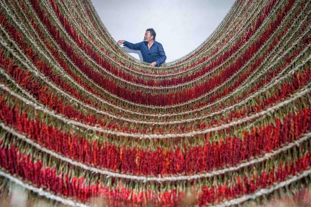 在貴州省畢節(jié)市大方縣理化鄉(xiāng)金雞村，村民查看辣椒烘干情況。新華社發(fā) 羅大富攝