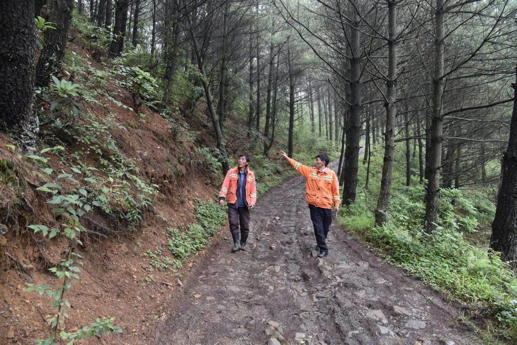 海雀村生態(tài)護林員馬正安（左）和海雀村林管員王光德（右）在日常巡山護林。新華社記者 李凡 攝