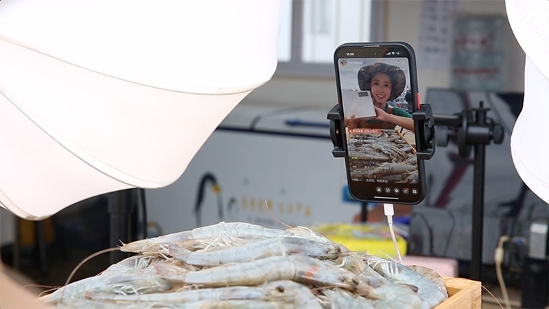 江蘇連云港，村民進(jìn)行直播銷售。范堯攝