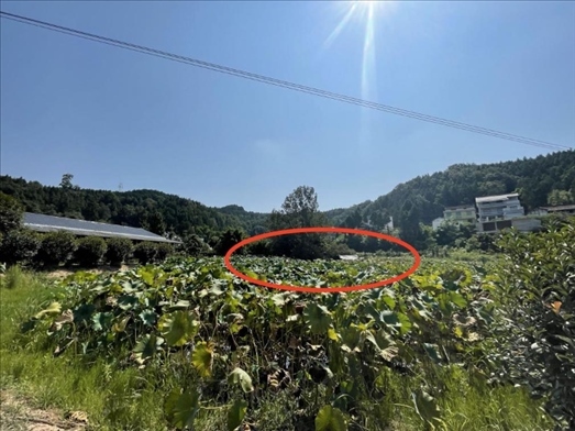 曾經(jīng)的圣水園所在地。 人民網(wǎng)記者 楊喬攝