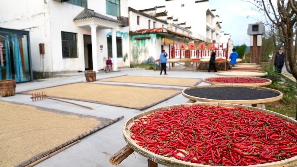 近日拍攝的江西省上饒市婺源縣秋口鎮(zhèn)王村石門(mén)自然村。新華社記者 胡晨歡 攝
