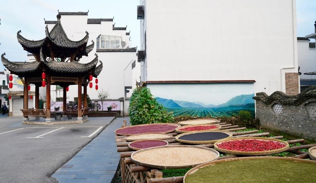 近日拍攝的江西省上饒市婺源縣秋口鎮(zhèn)王村石門(mén)自然村曬秋場(chǎng)景。新華社記者 胡晨歡 攝