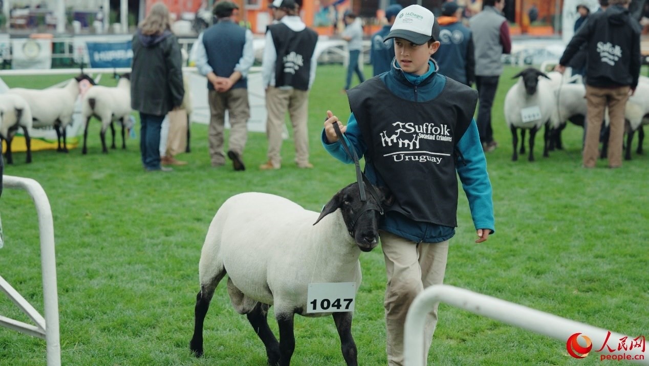 烏拉圭第118屆普拉多牧農(nóng)業(yè)國(guó)際博覽會(huì)現(xiàn)場(chǎng)。人民網(wǎng)記者 張若涵攝