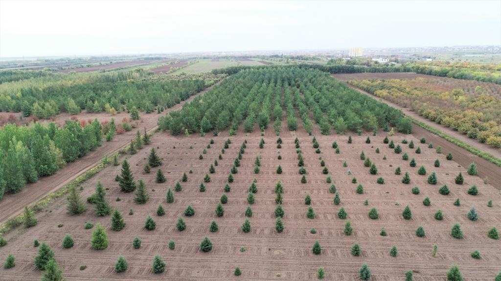 這是2023年9月11日在哈薩克斯坦首都阿斯塔納拍攝的一處植物種質(zhì)資源苗圃（無人機(jī)照片）。新華社發(fā)（法爾哈特·圖克諾夫 攝）