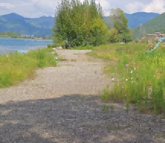 王軍所說被填區(qū)域。 人民網(wǎng)記者 黃鈺攝