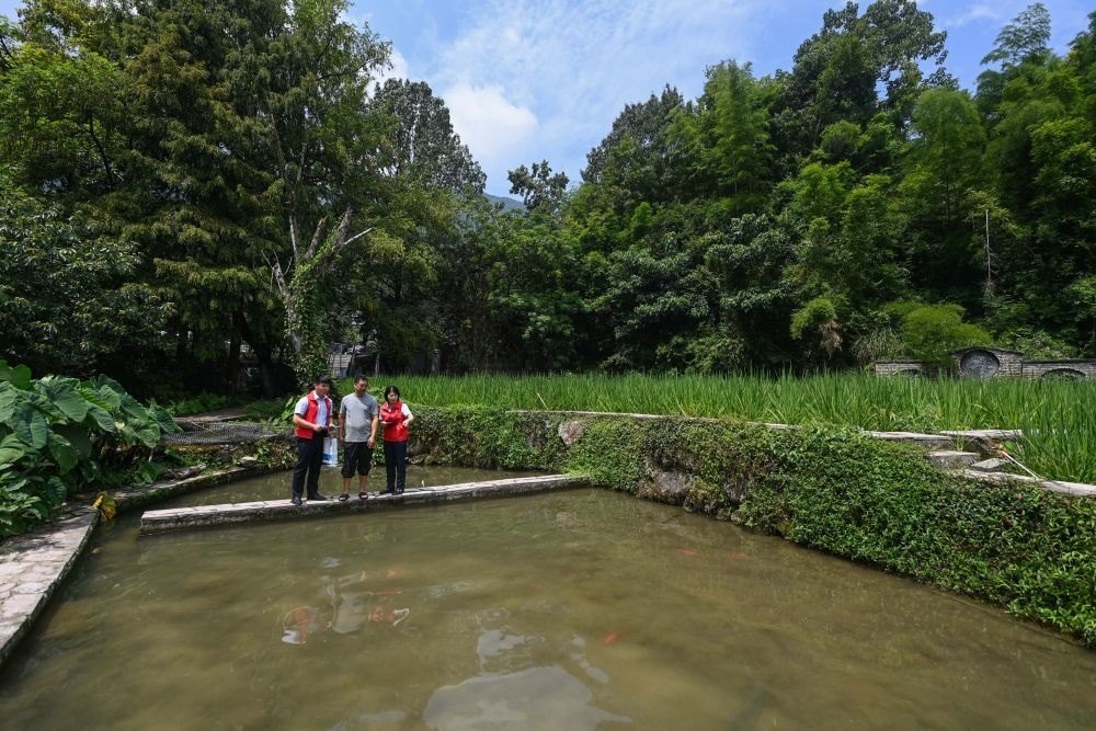 2023年8月17日，浙江省麗水市青田縣方山鄉(xiāng)田魚養(yǎng)殖戶吳勇強（中）在接受青田農(nóng)商銀行“小蜻蜓”服務(wù)隊志愿者提供的“惠民易貸”上門服務(wù)。近年來，青田縣金融發(fā)展中心聯(lián)合各個金融機構(gòu)優(yōu)化配套鄉(xiāng)村振興金融服務(wù)，推出“惠民易貸”“農(nóng)家樂貸”等金融產(chǎn)品，重點支持涉農(nóng)龍頭企業(yè)及特色種養(yǎng)殖產(chǎn)業(yè)。新華社記者 徐昱 攝