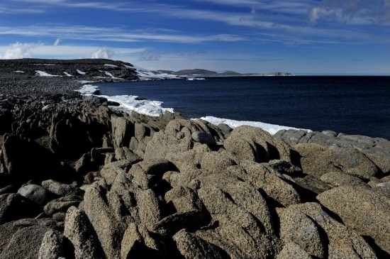 羅斯海恩克斯堡島的夏季風(fēng)光。新華社記者 張建松 攝