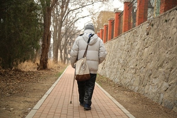 鐘萬勰院士在大連理工大學(xué)校園里。周學(xué)飛攝