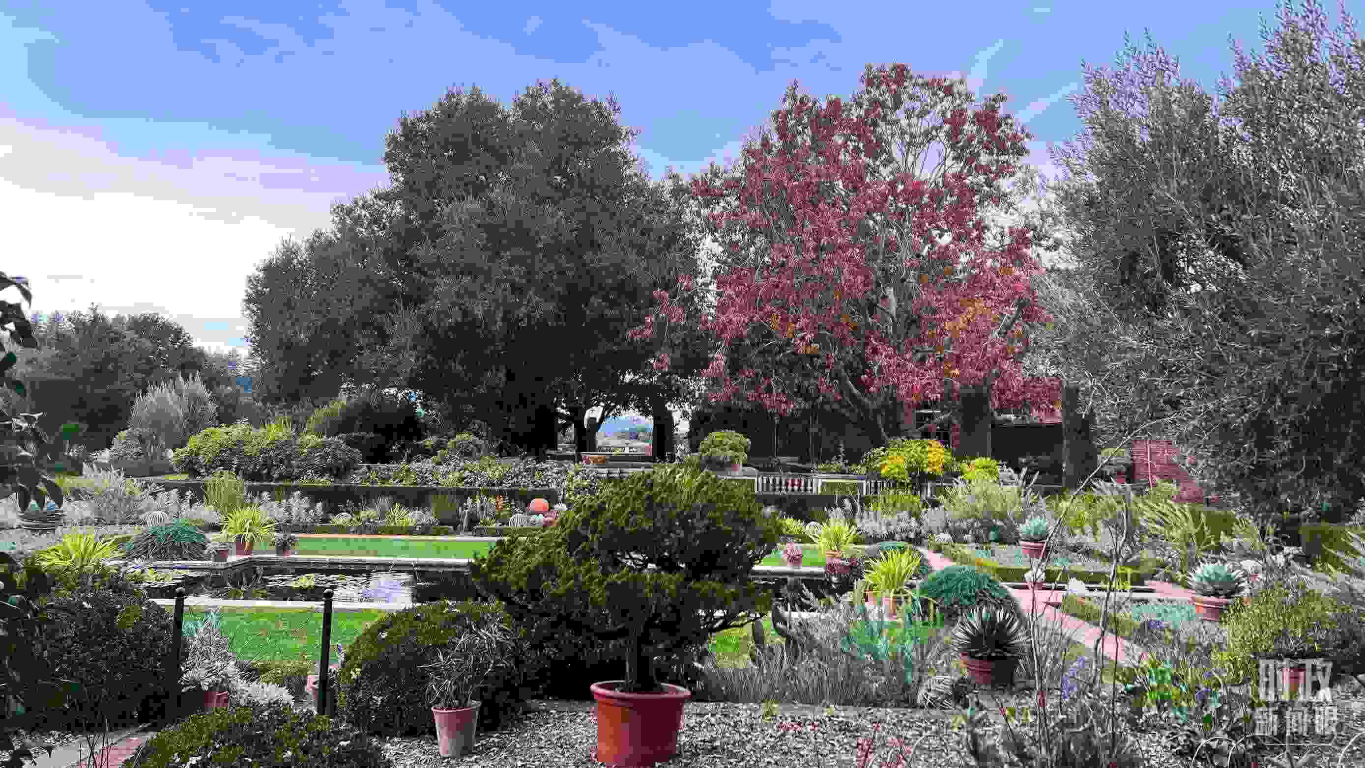 斐洛里莊園被稱作美國(guó)20世紀(jì)現(xiàn)存最精美鄉(xiāng)村莊園之一。（總臺(tái)央視記者程鋮拍攝）